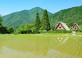 Shirakawago